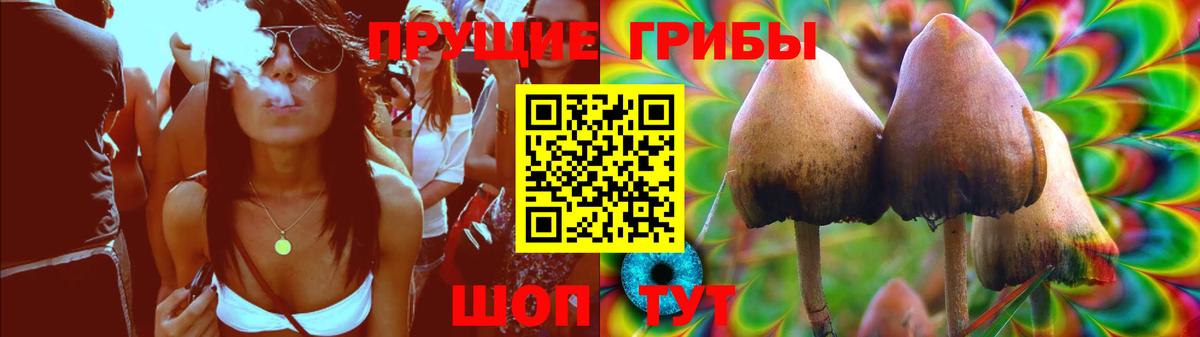 Клинцы  Галлюциногенные грибы GOLDEN TEACHER  Вход с VPN  Галлюциногенные грибы Cubensis 